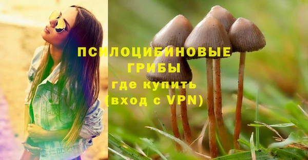 прущие крисы Лабытнанги