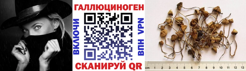 наркота Бикин Псилоцибиновые грибы мухоморы