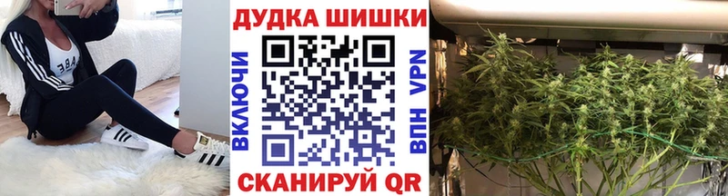 Марихуана план  купить наркоту  Бикин 